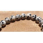 jaspe dalmatien 5