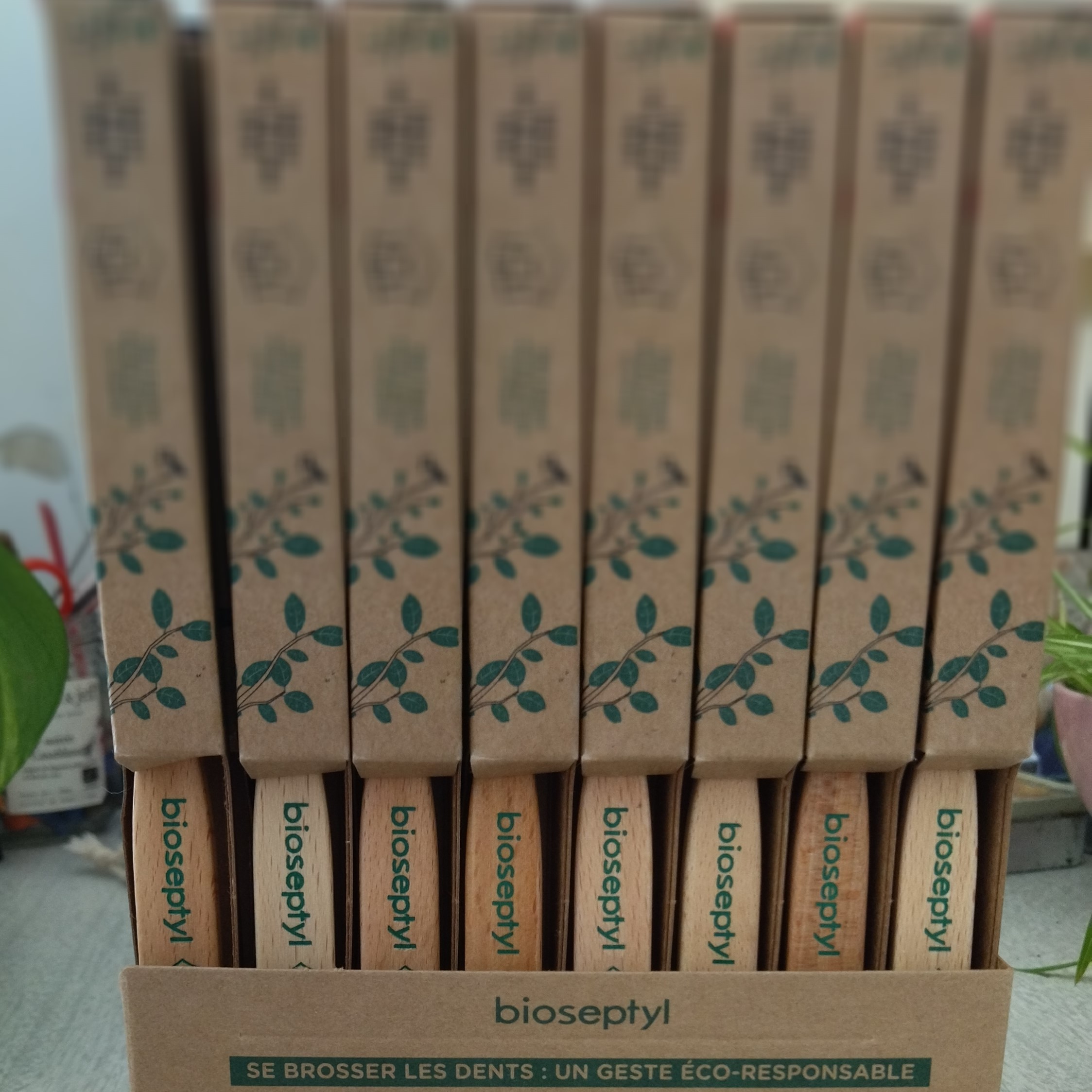 brosse-a-dent-bois