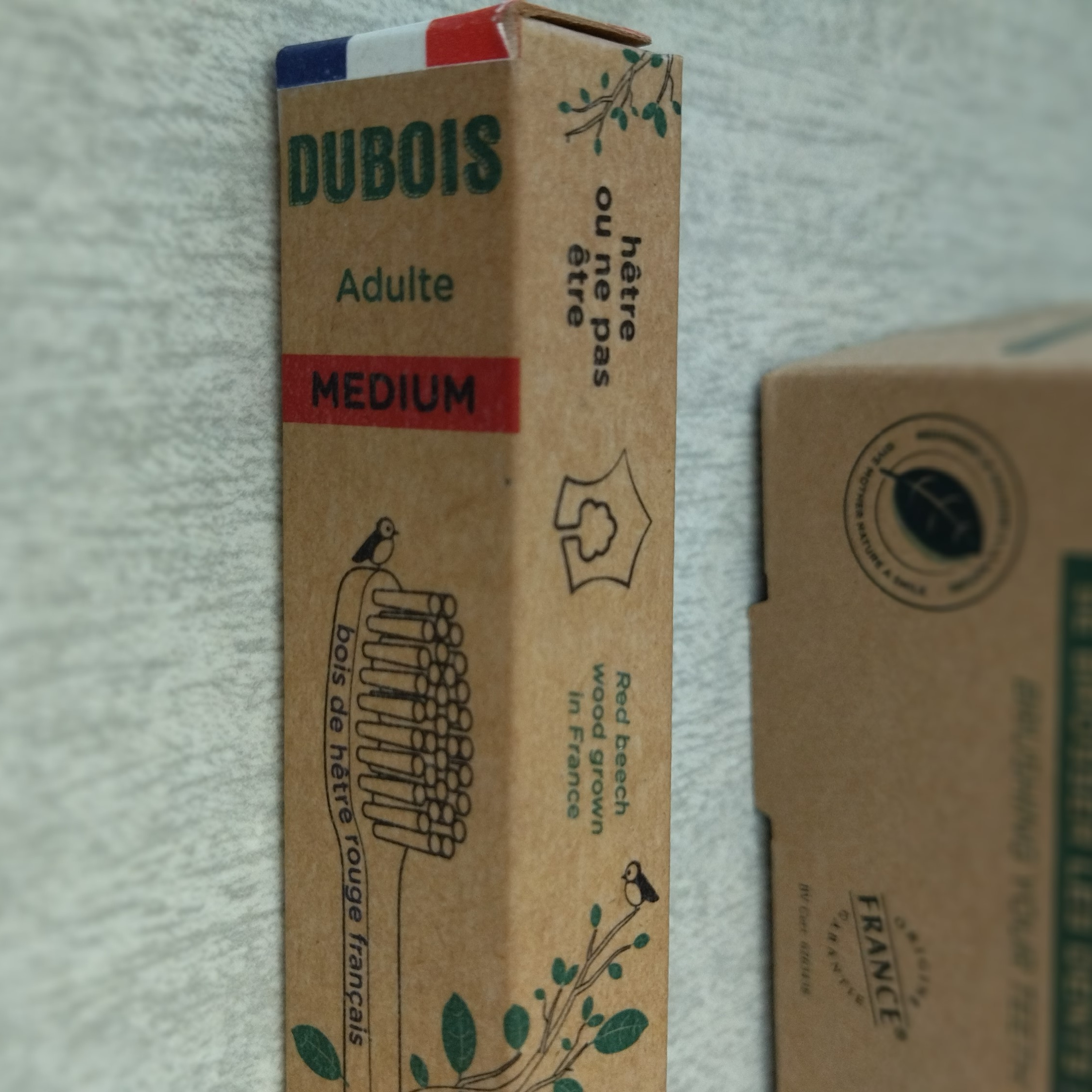 brosse-a-dent-bois