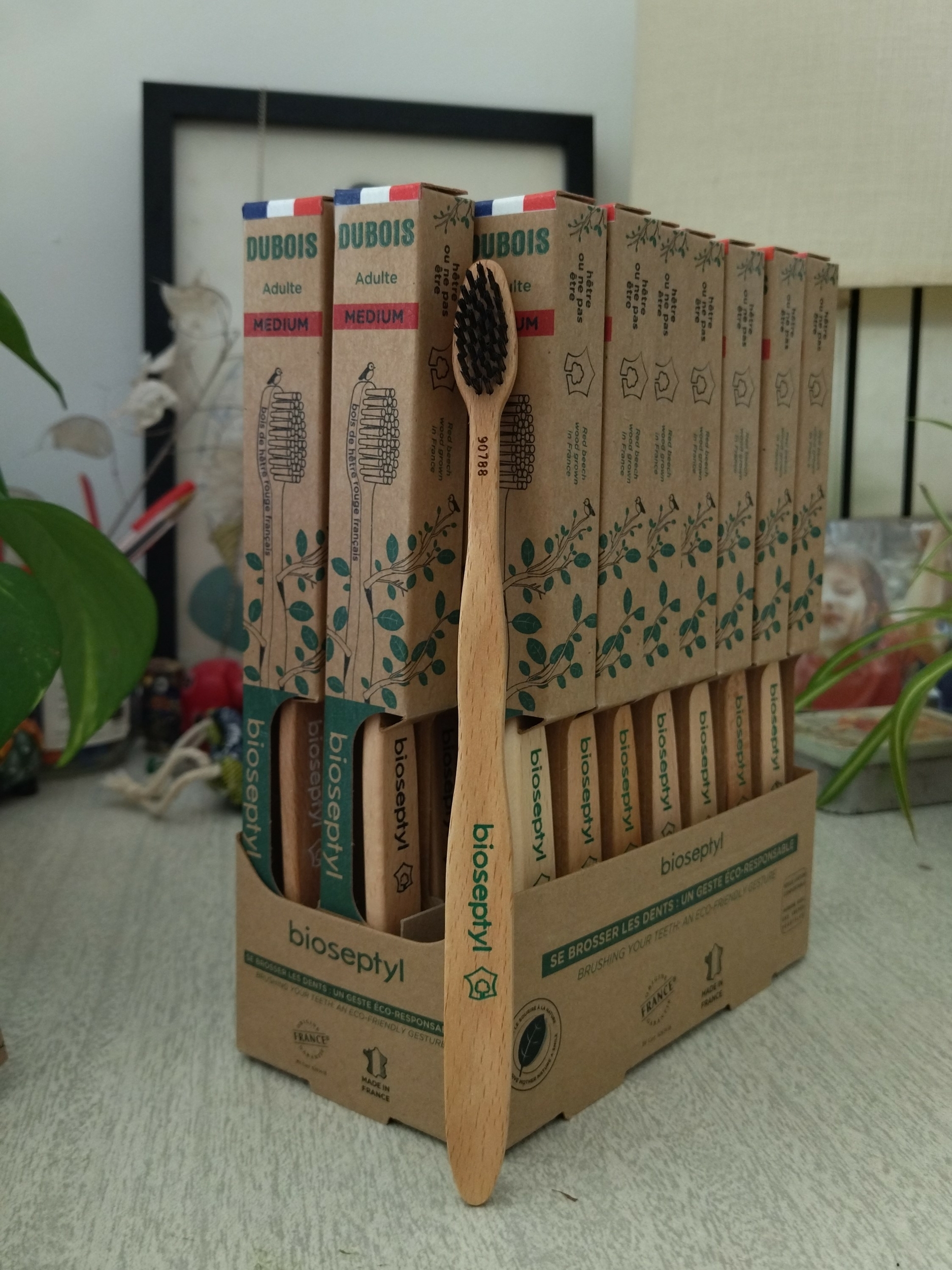 brosse-a-dent-bois