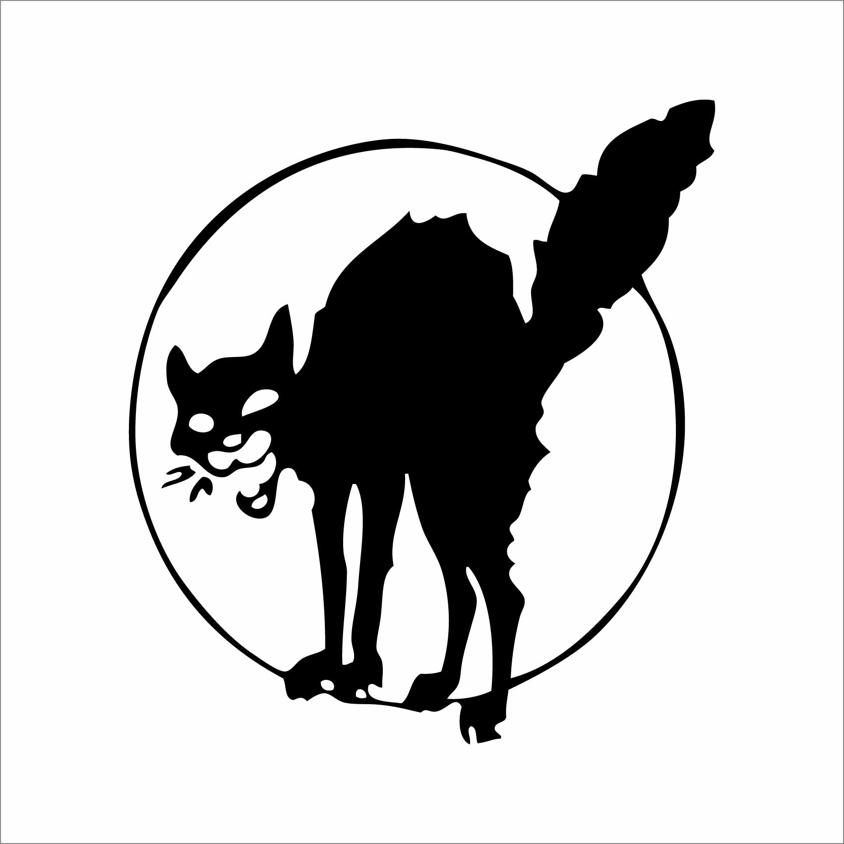 stickers-chat-anarchisme-wild-cat-ref14chat-autocollant-deco-sticker-salon-stickers-muraux-fb