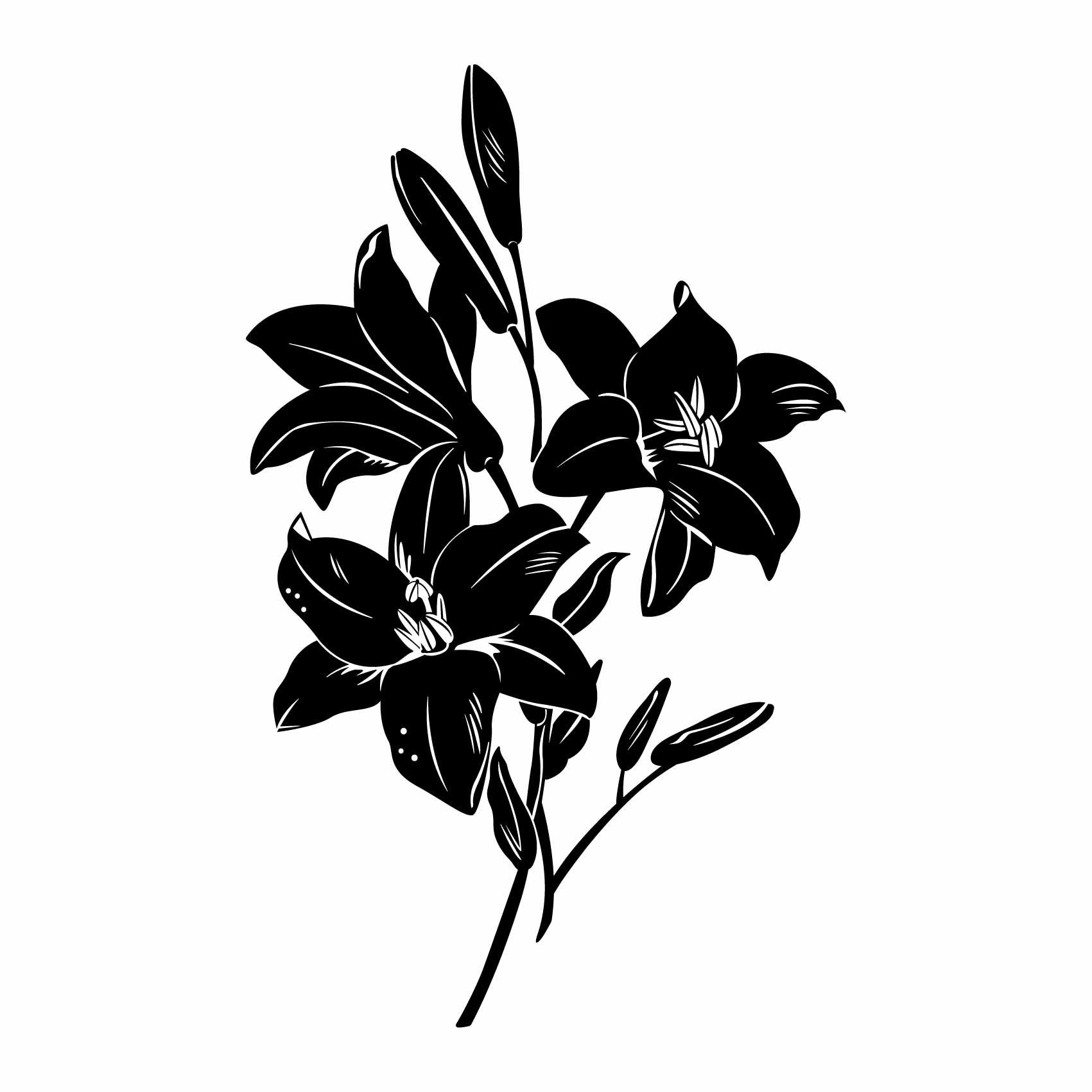 Superdant noir minimaliste ligne stickers muraux fleur eucalyptus rosa stickers  muraux feuille botanique moderne nature art mural ligne florale décoration  murale pour chambre salon salle de bain extérieur en gros pour création