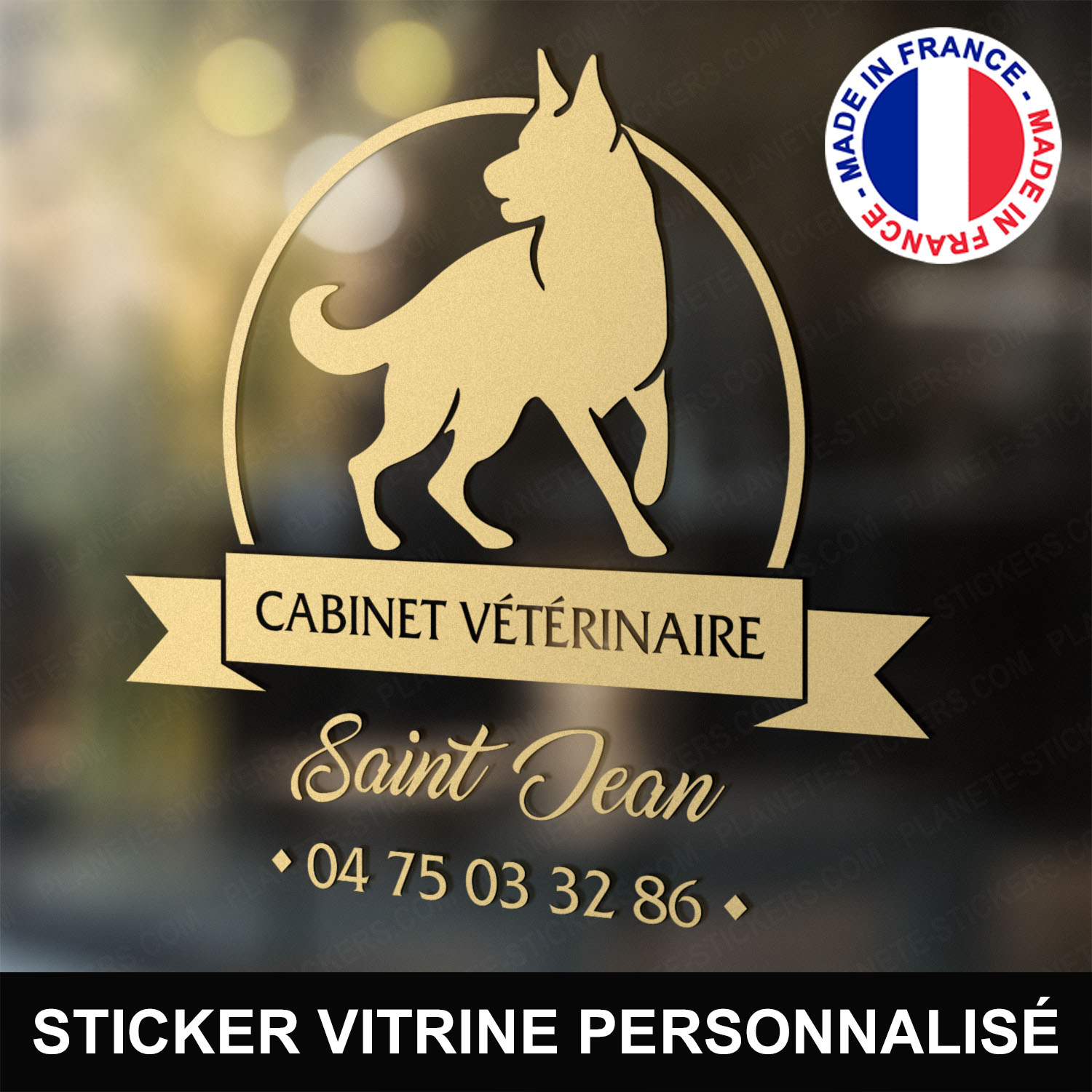 Stickers Cabinet Infirmier Vitrine personnalisé caducee m2