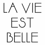 stickers-la-vie-est-belle-ref37citation-stickers-muraux-motivation-autocollant-citations-deco-sticker-mural-citation-encouragement-salon-chambre-(2)