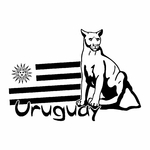 stickers-uruguay-ref28pays-stickers-muraux-uruguay-carte-autocollant-deco-chambre-salon-sticker-mural-uruguay-voyage-(2)