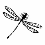 stickers-libellule-ref1insecte-stickers-muraux-insectes-autocollant-chambre-deco-sticker-mural-insecte-enfant-(2)