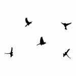 stickers-vol-d-oiseaux-ref11oiseaux-stickers-muraux-oiseaux-autocollant-chambre-salon-deco-sticker-mural-oiseau-animaux-(2)