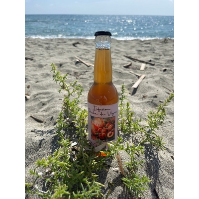 Infusion de thé glacé pêche de vigne