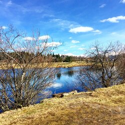 IMG_1740