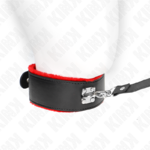 Collier cuir fourrure rouge et laisse.3