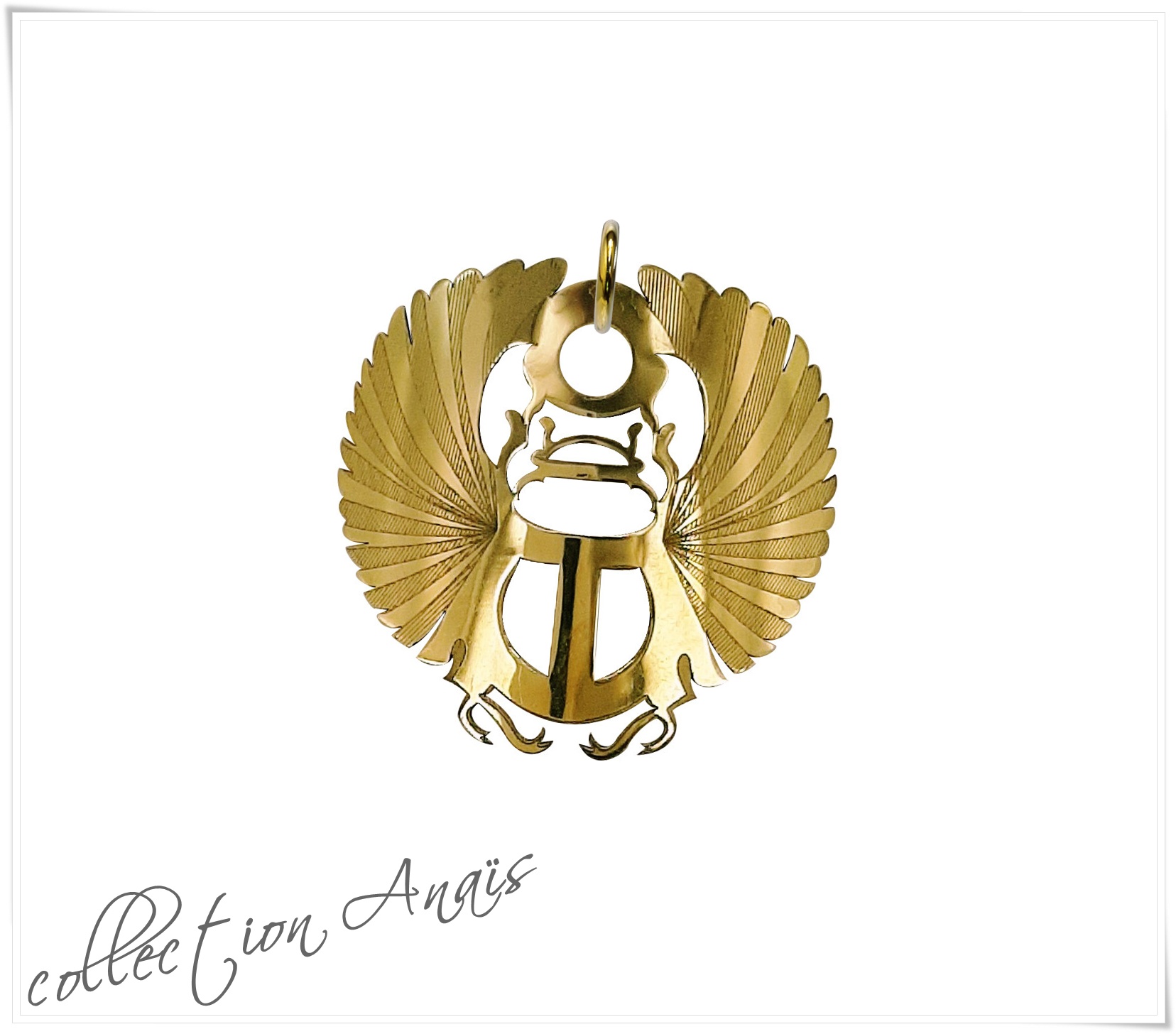 Collection ANAIS-scarabée