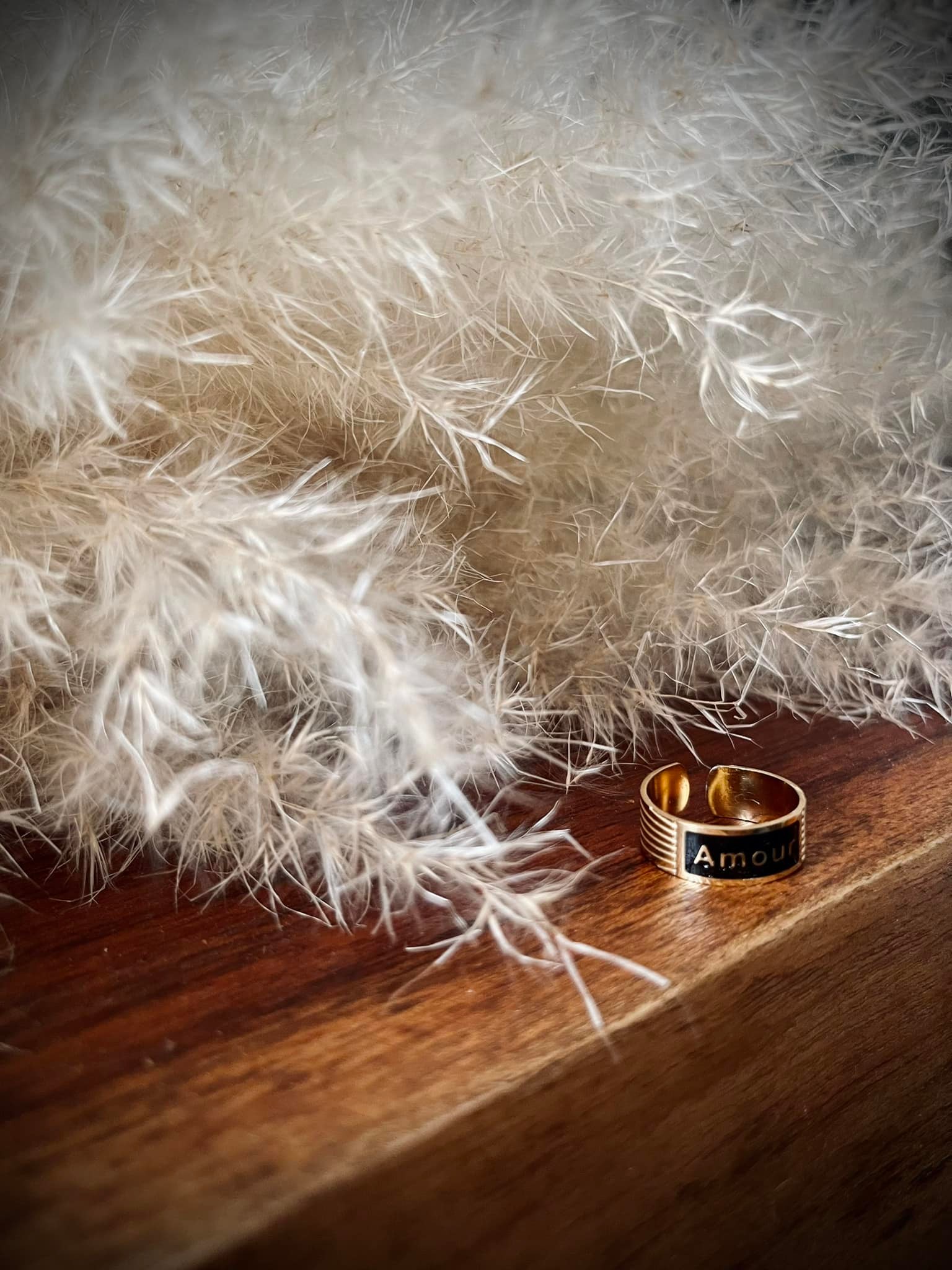 Amour-Bague en ACIER