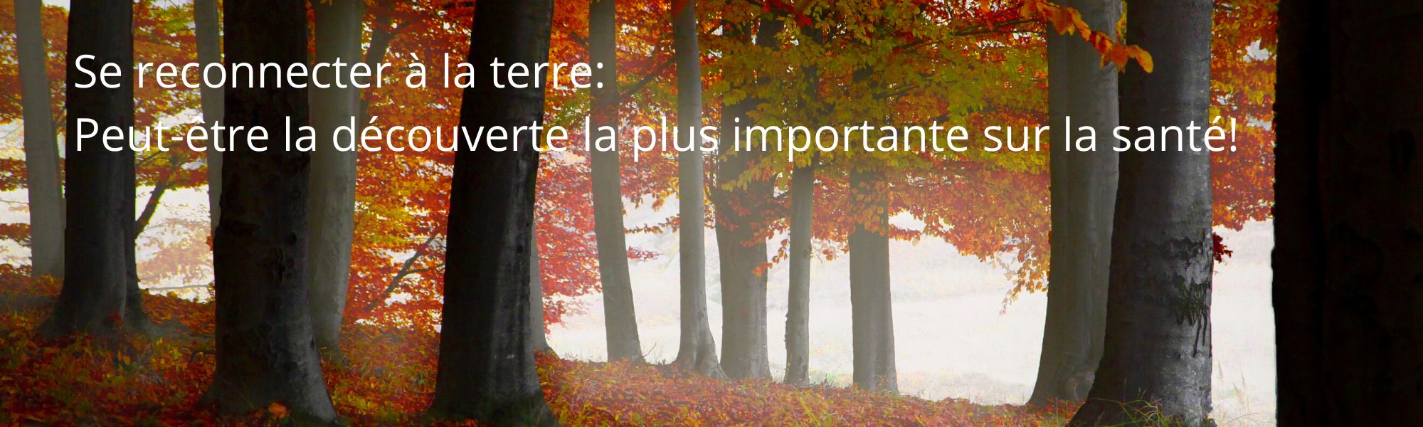 Se reconnecter à la Terre