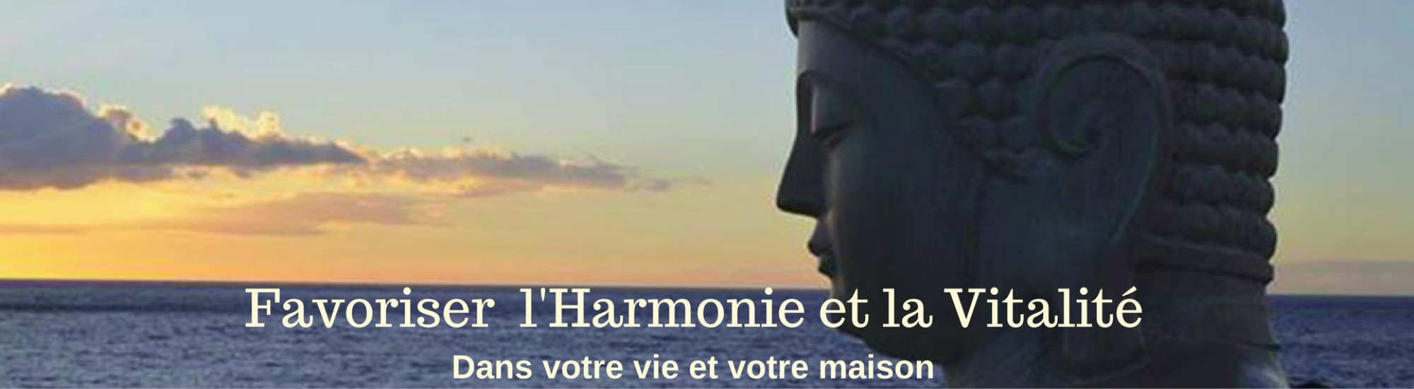 baniere accueil bouddha 2000x550