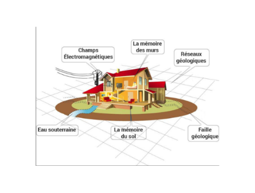 geobiologie