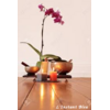 Bol chantant 4