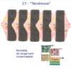 Serviettes hygiéniques lavables (lot de 5) + Pochette de rangement -27