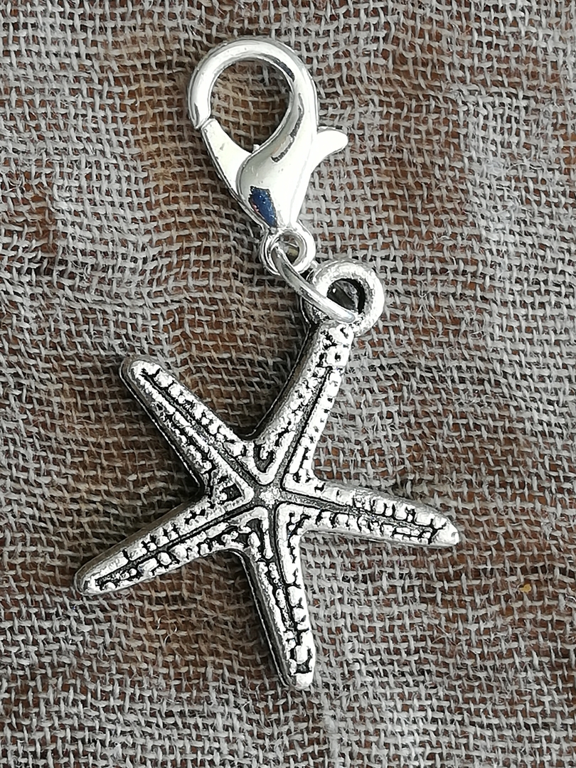 Etoile de mer-1