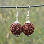 Boucles-d-oreilles-rondes-en-argent-perles-de-Rudraksha-marron-naturel-la-mode-cadeaux-de-saint