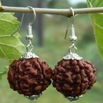 Boucles-d-oreilles-rondes-en-argent-perles-de-Rudraksha-marron-naturel-la-mode-cadeaux-de-saint