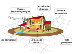 Geobiologie