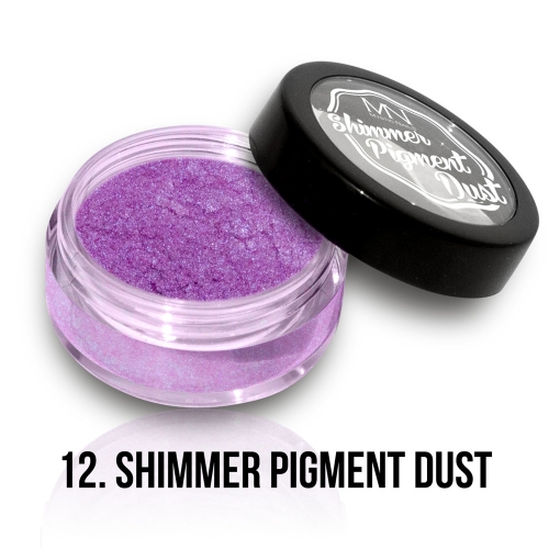 Shimmer_Pigment_Dust_12_2g_1291_1