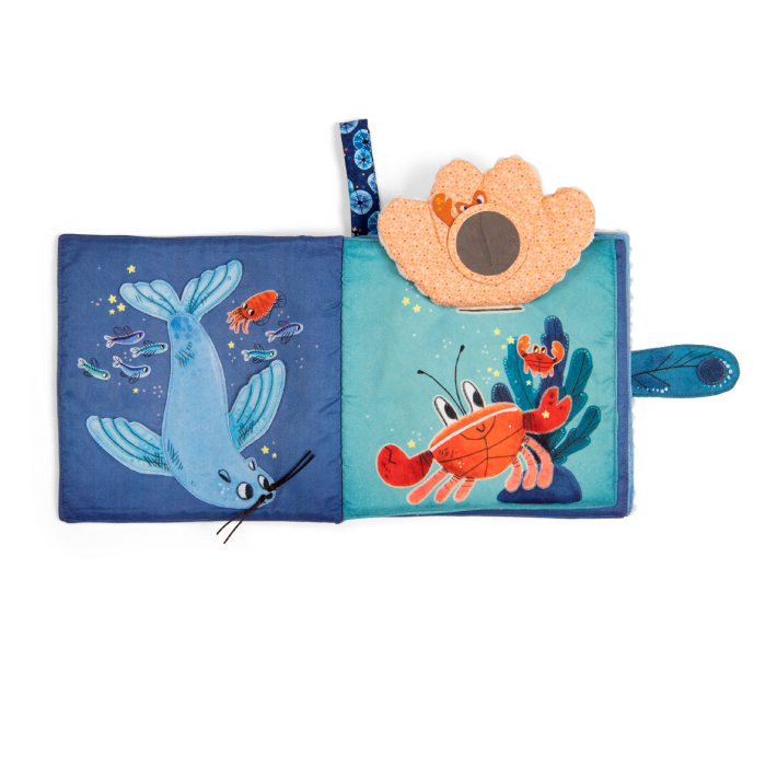 Livre_tissu_d_activites_Les_aventures-depaulie-crabe-miroir-naissance