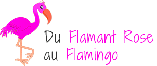 Du Flamant Rose au Flamingo