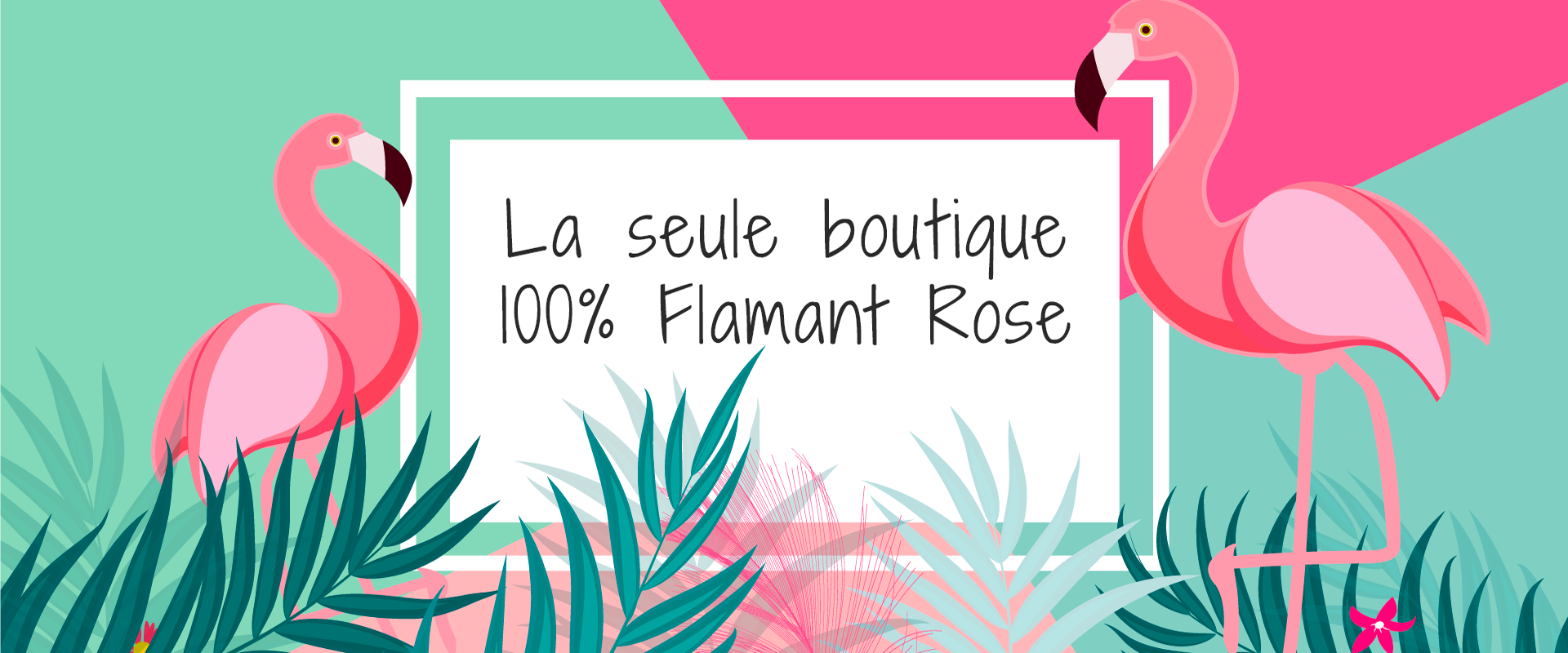 flamant slide1