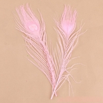 1-pc-27-cm-Rose-Paon-Plume-Cheveux-Flamants-Roses-Belle-Tir-Props-D-coration-De