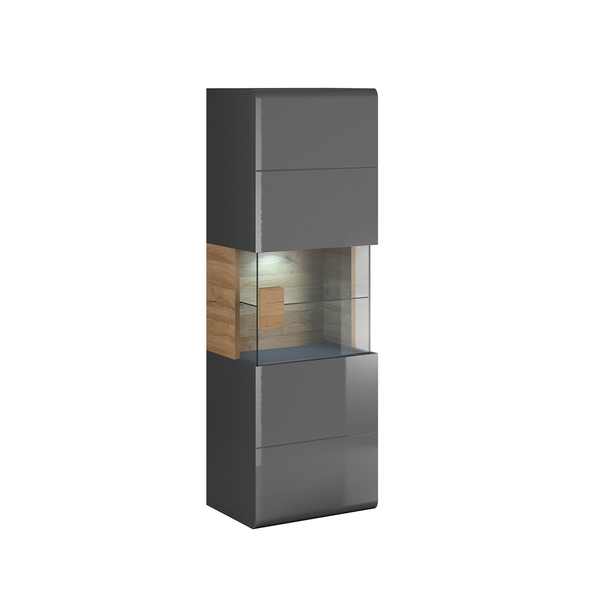 Vitrine murale 1 porte avec LED Jules Gris et Bois
