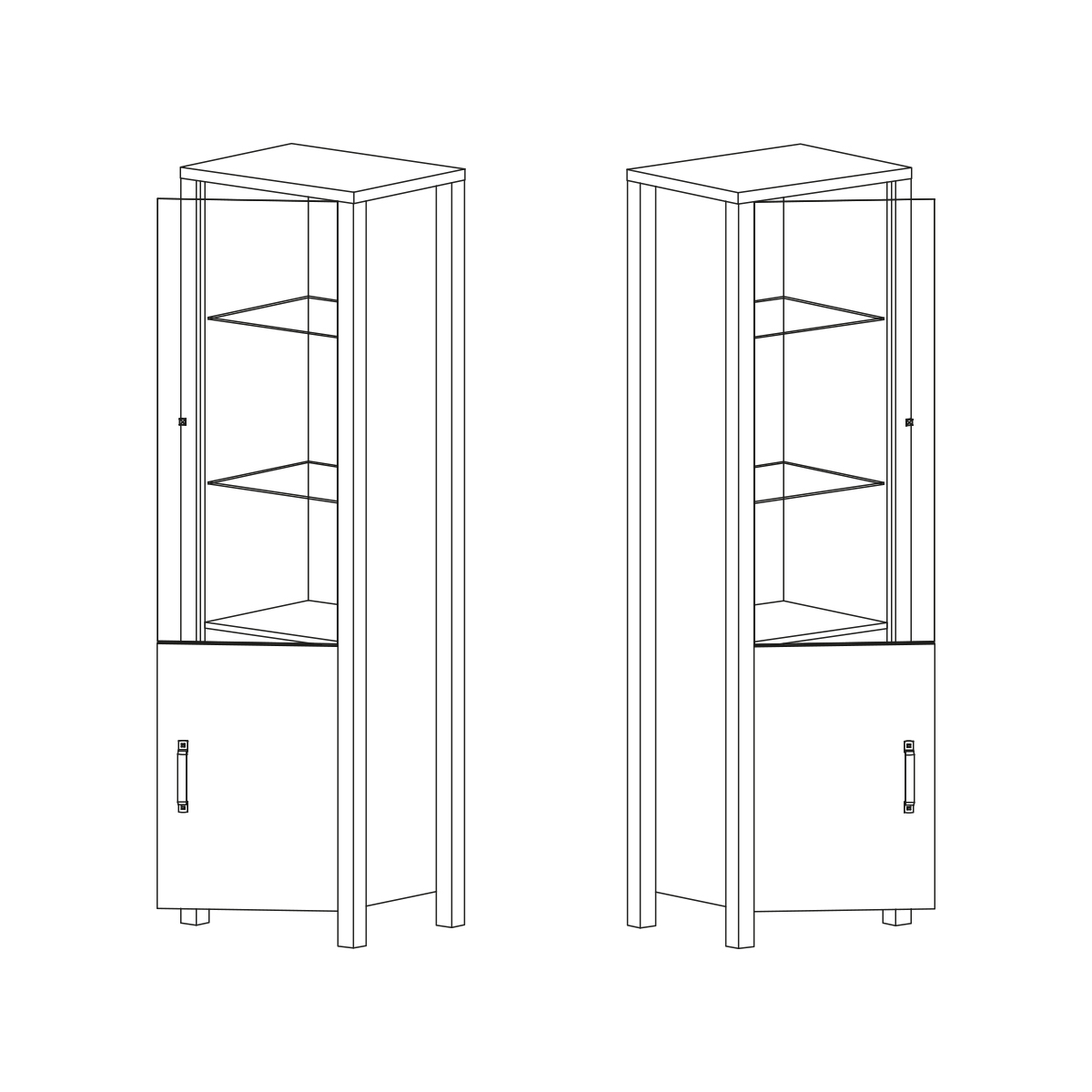 lyam_24ABJC05_vitrine_2_portes_bois_noir_9
