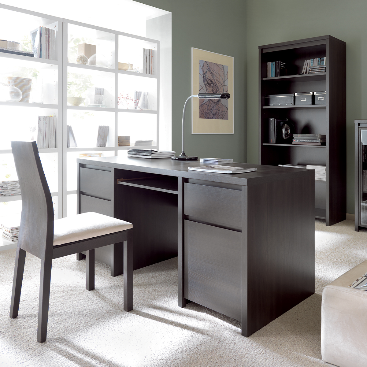 Soren_wenge_bibliotheque_3