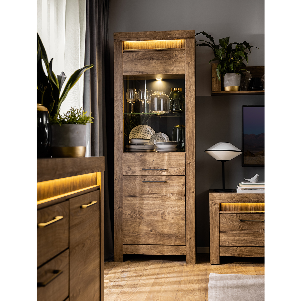 Amaury_bois_vitrine_2portes_5