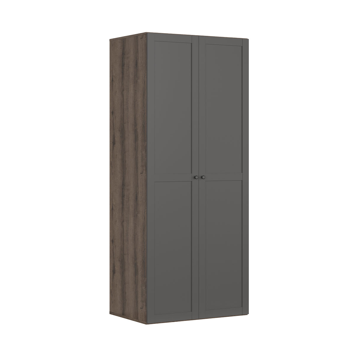 Armoire 2 portes L100 x H240 cm Flex Gris et Bois