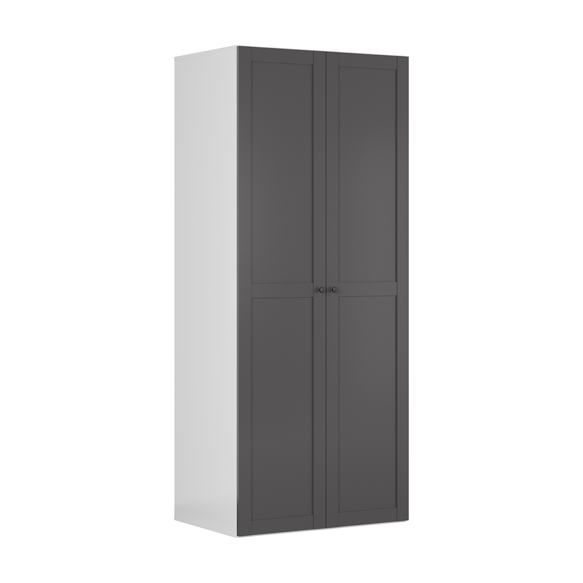 Armoire 2 portes L100 x H240 cm Flex Gris Anthracite