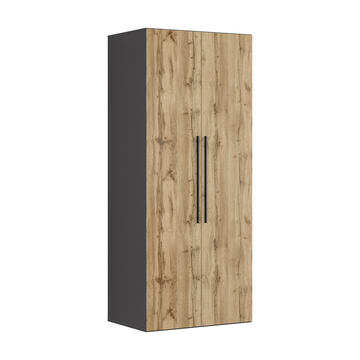 Armoire 2 portes L100 x H240 cm Flex Bois et Gris Antracite