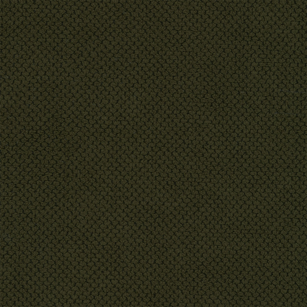tissu_curio_39_vert_sapin_6