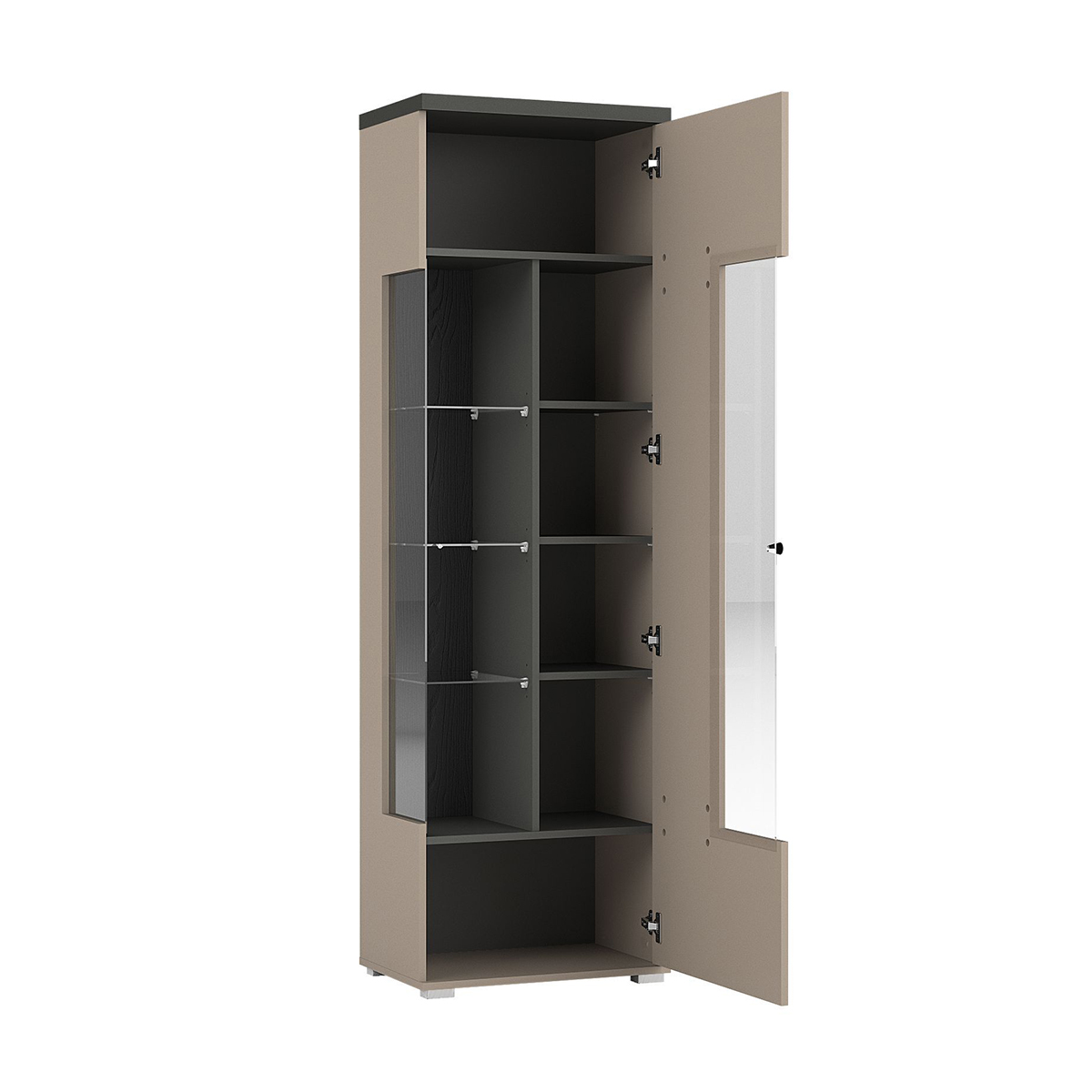 Opio_vitrine_1porte_2