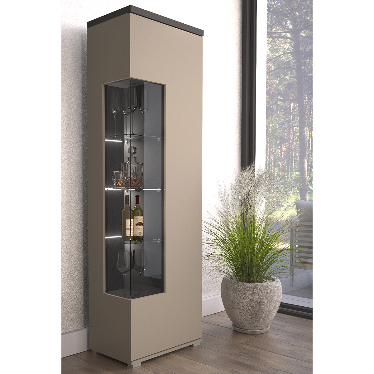 Opio_vitrine_1porte_3