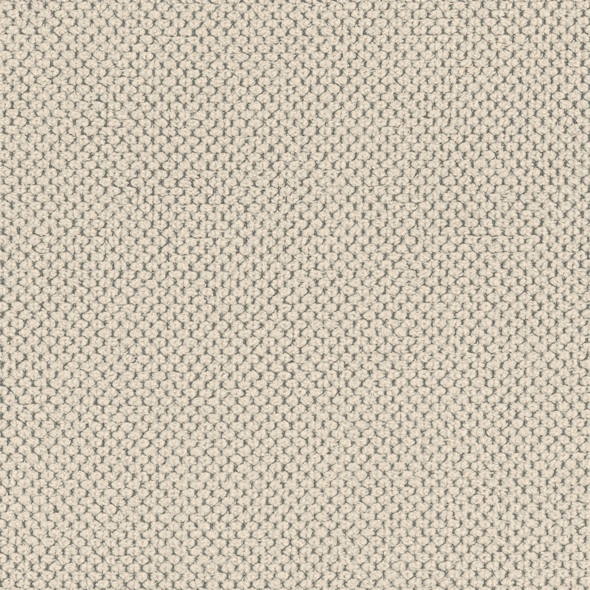 tissu_Alessio_Beige