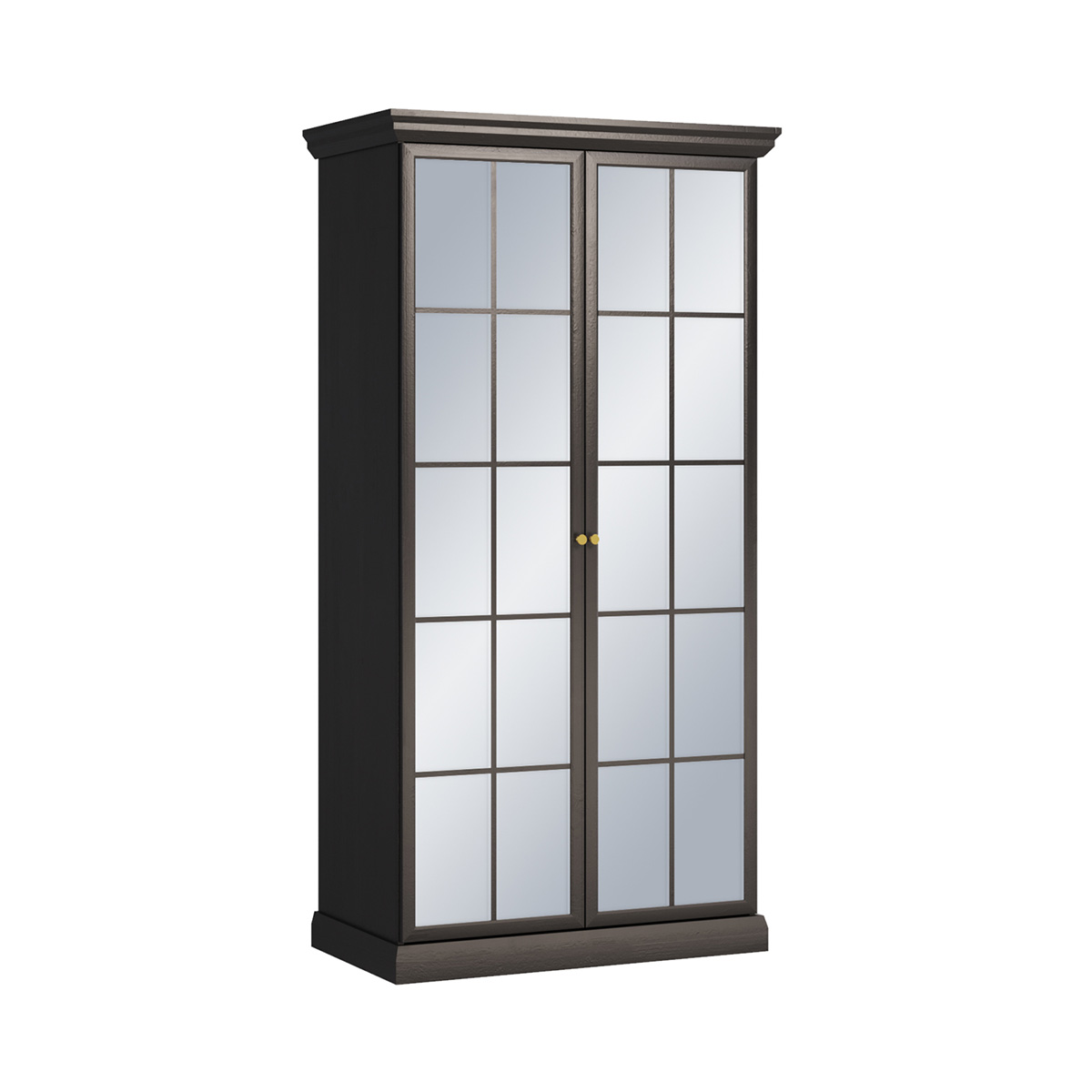 Armoire 2 portes Toja Bois anthracite
