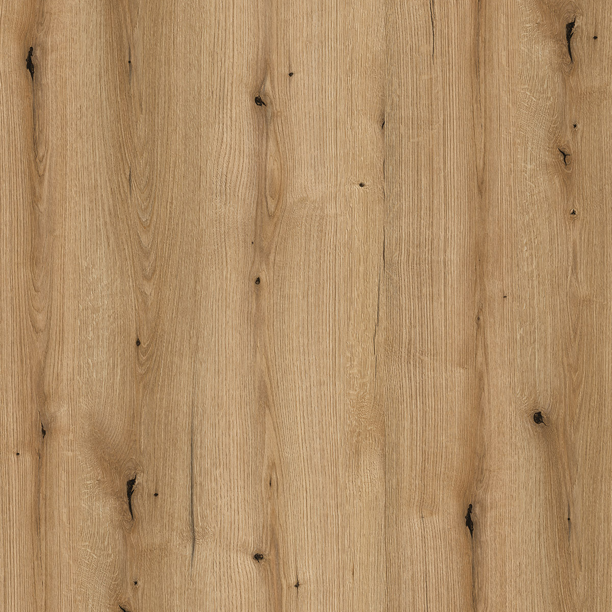 couleur evoke oak