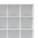 Ewen_blanc__bibliotheque_16cases_3