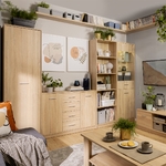 Ewen_bois__vitrine_2portes_5