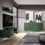petits_meubles_thalia_vert_meuble_tv_2_portes_vert_E