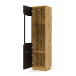 Aurus_bois_noir_vitrine_1porte_2