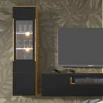 Aurus_bois_noir_vitrine_1porte_6
