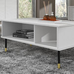 Rani_blanc_table_basse_3
