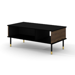 Rani_bois_noir_table_basse_1